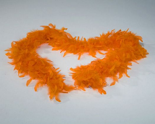 Boa naranja 45gr Boa naranja 45gr
